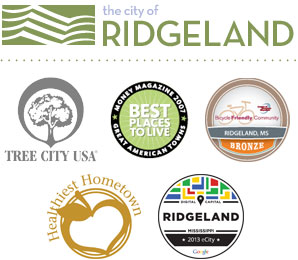 The City Of Ridgeland Public Safety The City Of Ridgeland